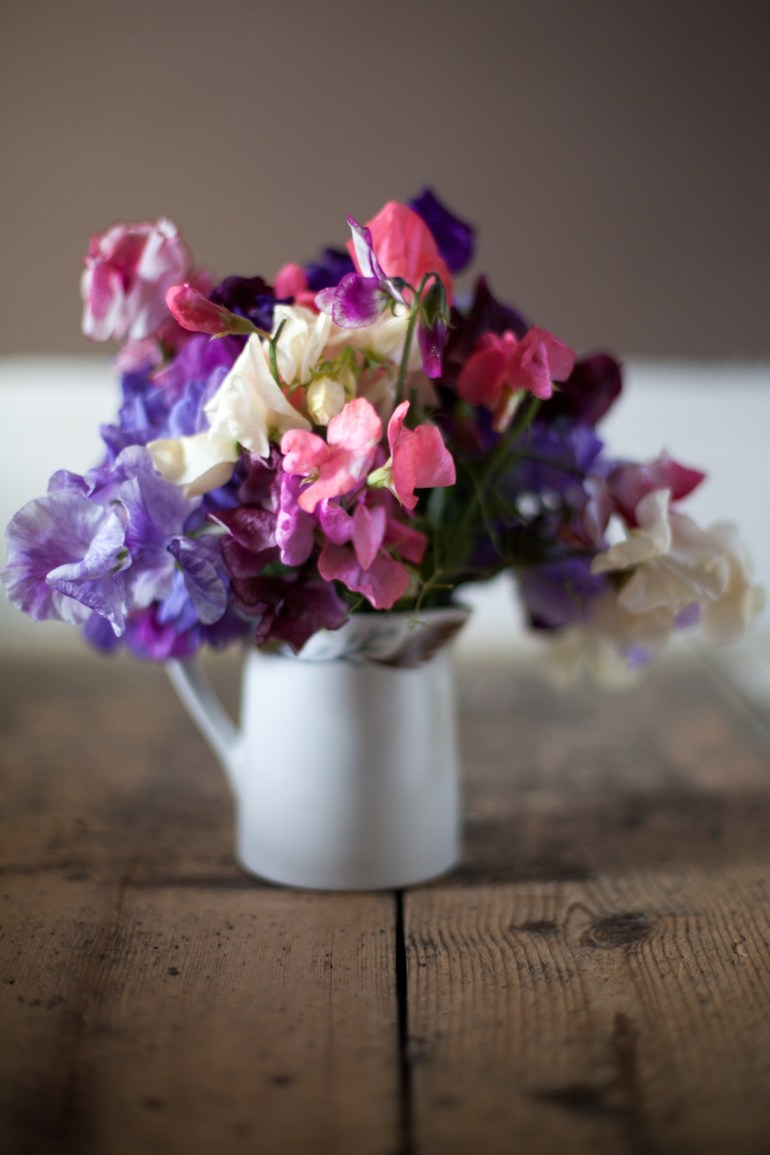 tumblr_muf5ct1xkN1r81hh6o1_r1_1280