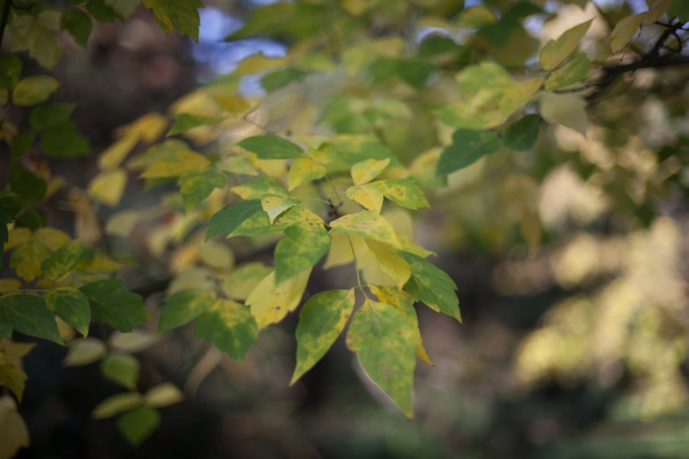 tumblr_muvc8hXBMi1r81hh6o1_1280