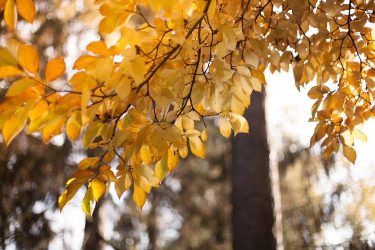 tumblr_muvc8hXBMi1r81hh6o2_1280